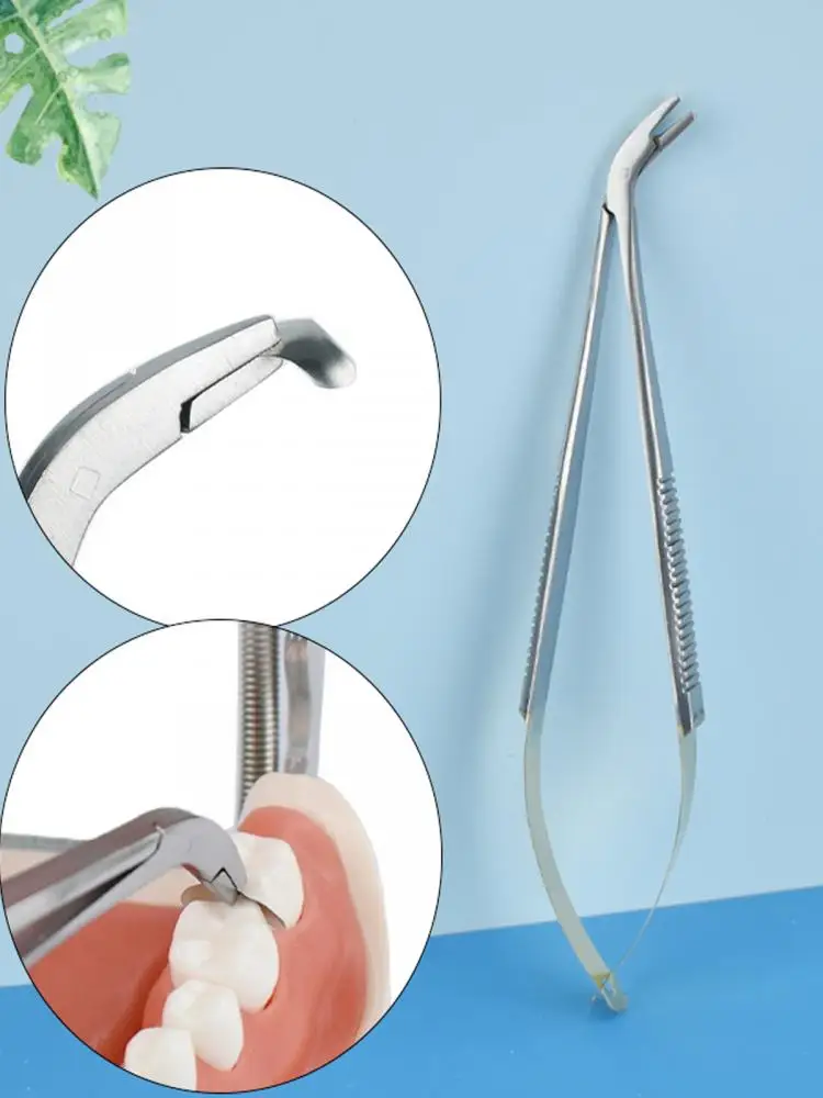 Support de Matrice de remplissage pour dentiste, pince de Placement de Matrices, pince dentaire sectionnelle, bandes de Matrices métalliques profilées