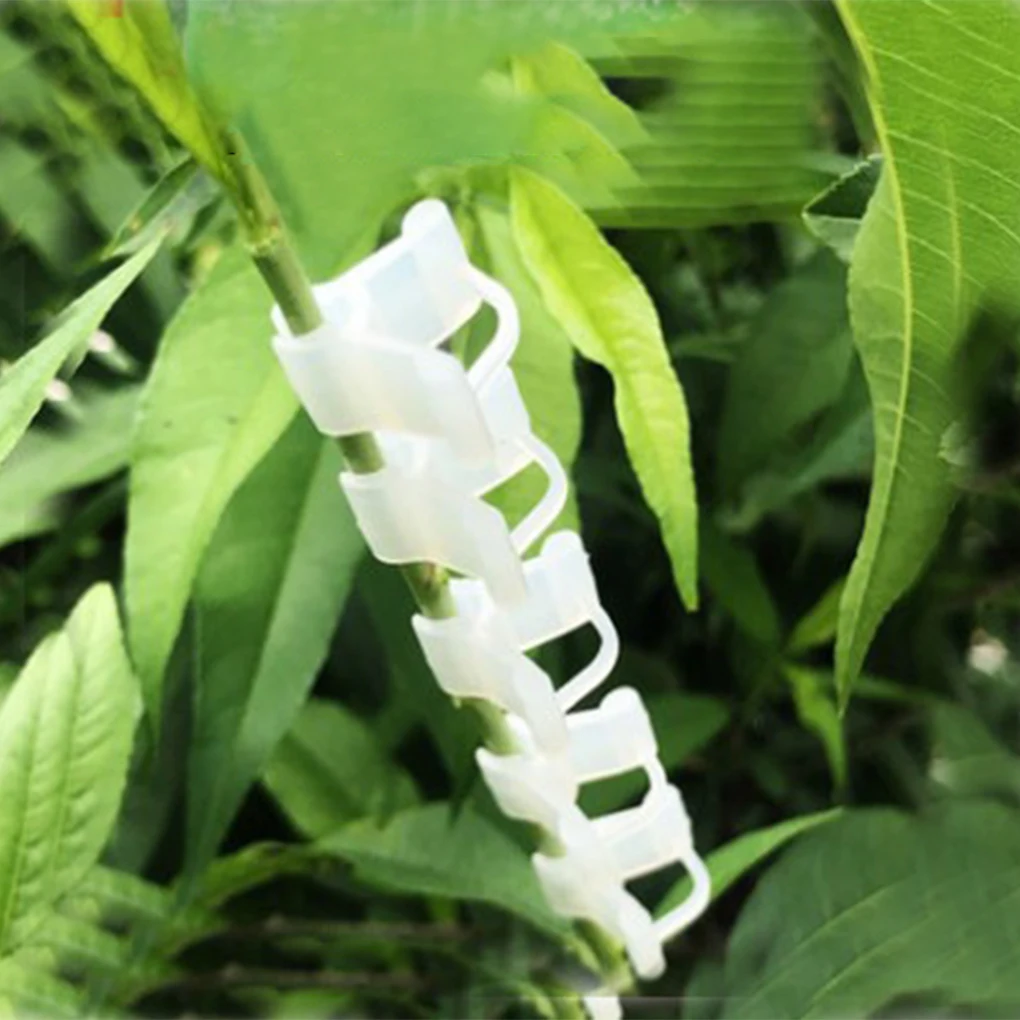 100 szt. Plastikowy klips do zacisku na rośliny łączy zacisk na narzędzia ochrona wielokrotnego użytku winorośl pomidora kwiat truskawki