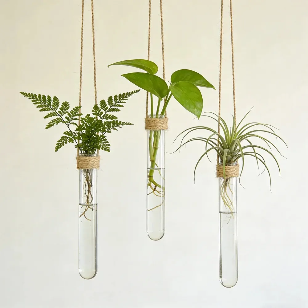 4Set Wall-Mounted Hydroponic Glass Vases Plant Cultivation Test Tube Flower Pots for Home Garden Decoration