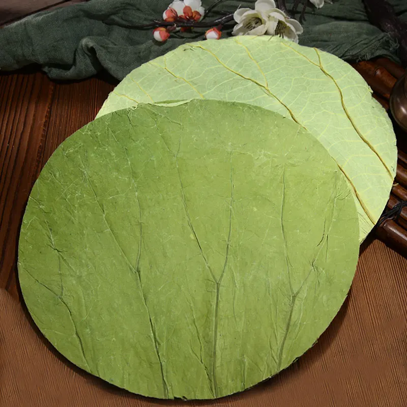 50 Pcs Natural Dried Lotus Leaves Disc for Outdoor Kitchen Food Tray Glutinous Rice Chicken Making Kitchen Accessories