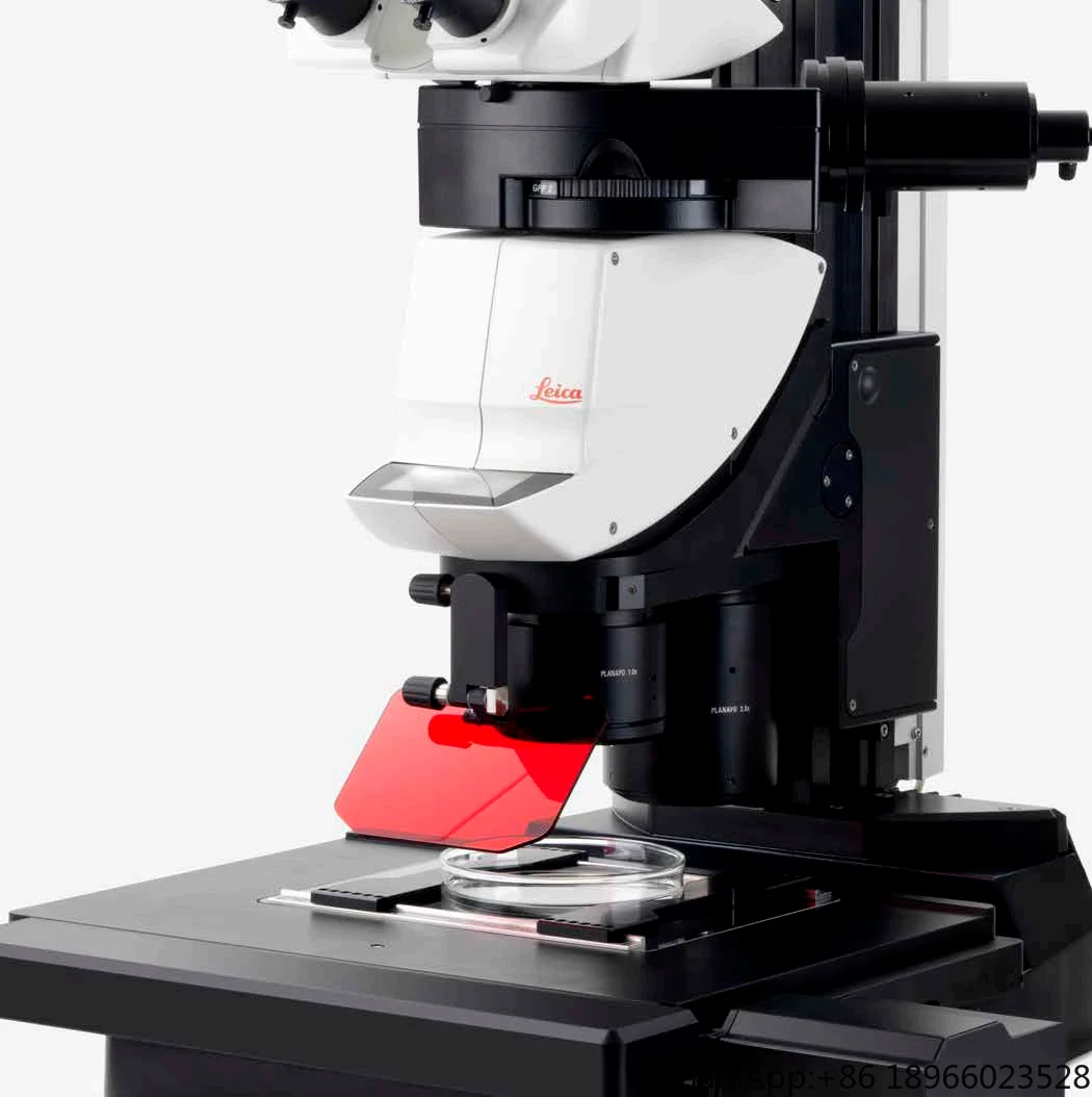 Leica M165 FC Fluorescent Stereo Microscope