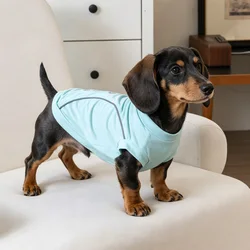 Chaleco refrigerante reflectante para perros pequeños Pinscher y Schnauzer