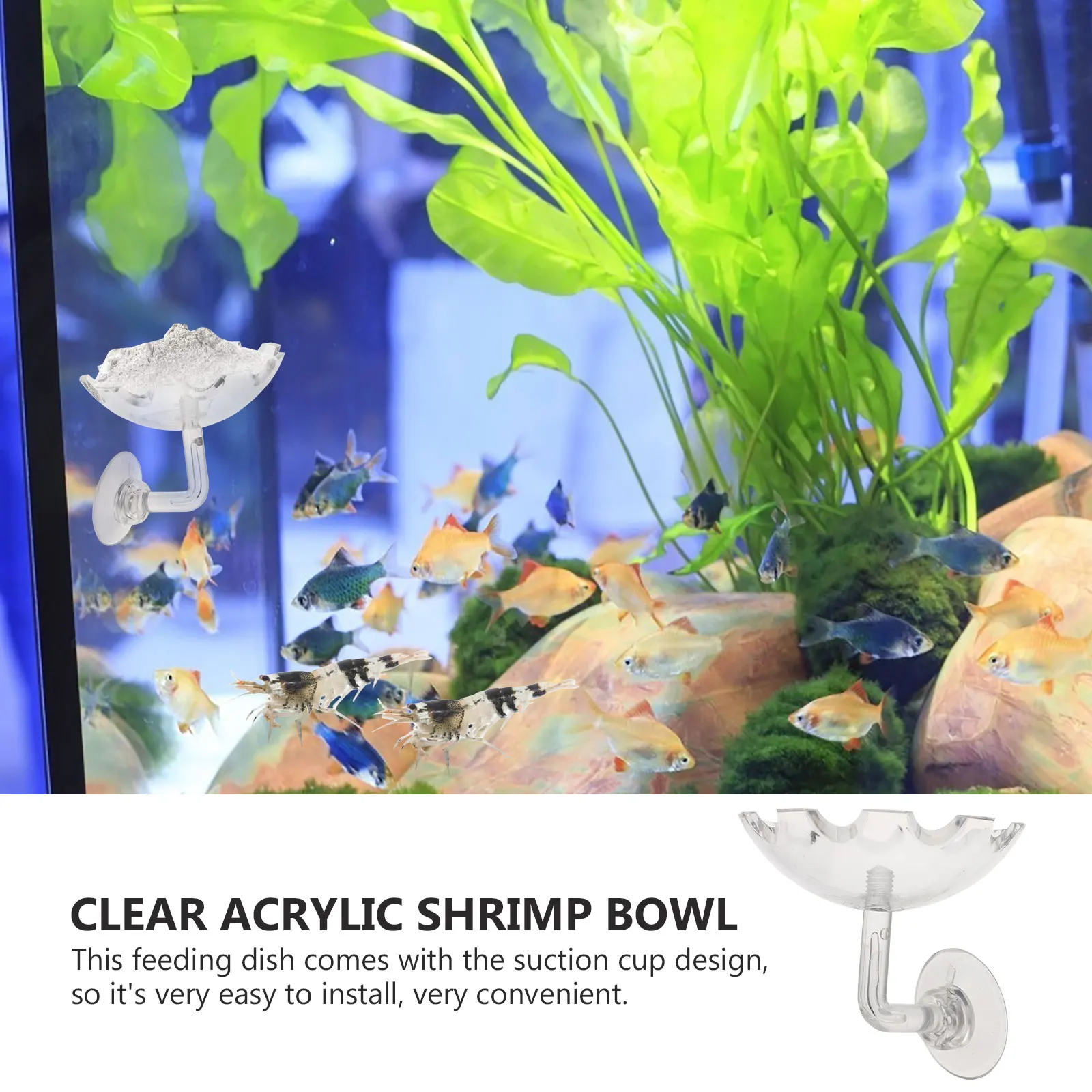 

2Pcs Shrimp Feeding Dish Aquarium Supplies Acrylic Tray Decorative Bowl Fish Tank Crystal Shrimp Feeder Reptiles Food Bowl Easy
