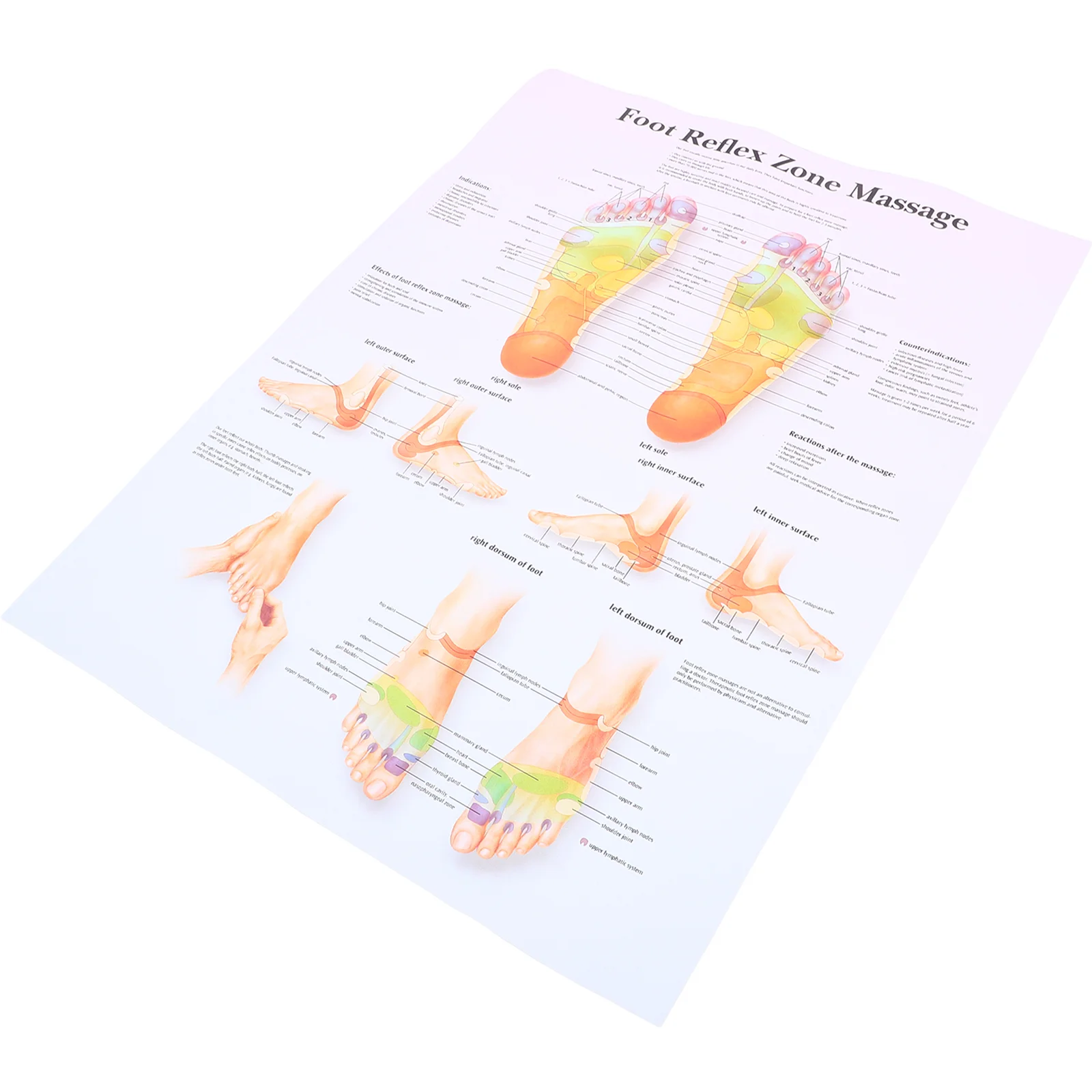 Foot Pads for Balls of Feet Reflexology Poster Posters Decorative Painting/hanging Picture Spacer