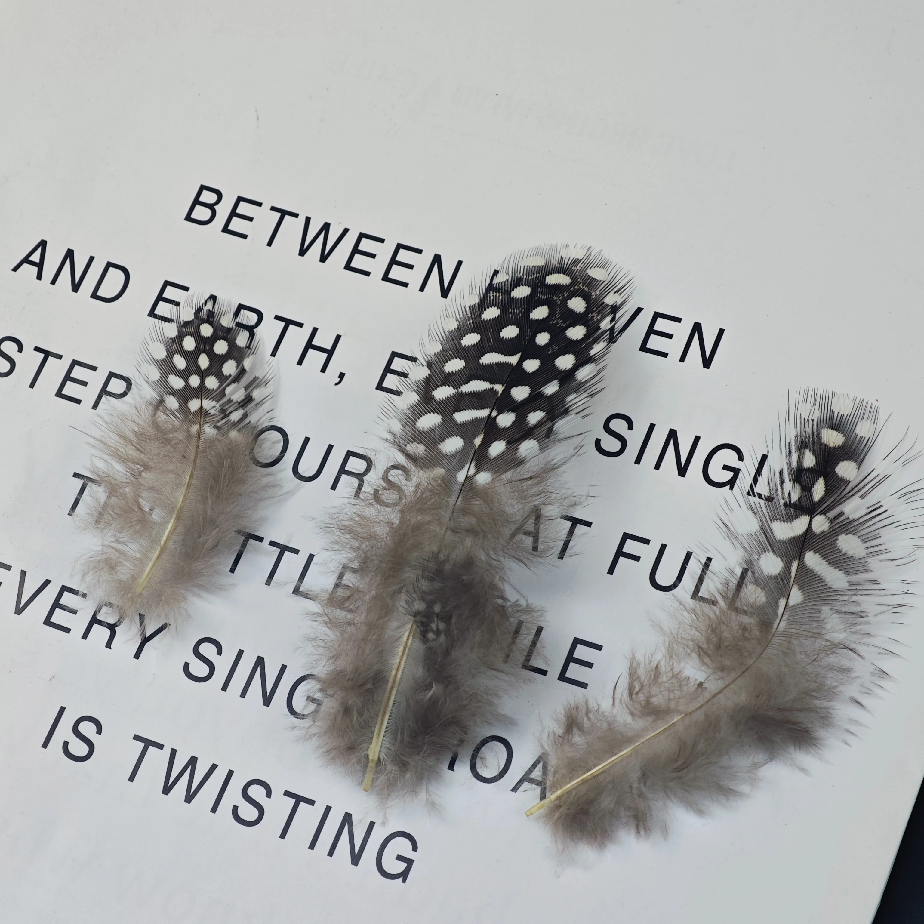 الجملة الطبيعية 50 قطعة 5-15 سنتيمتر الدراج ريشة اللؤلؤ ريش الدجاج للحرف اليدوية صنع المجوهرات اكسسوارات أعمدة الديكور #4