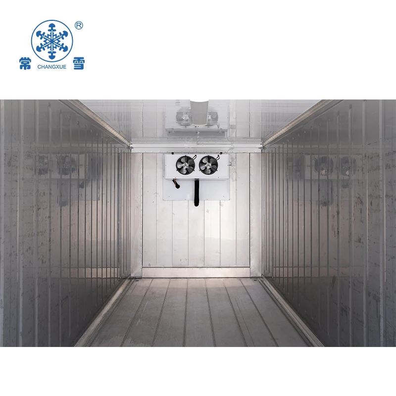 Camminata nella stanza del refrigeratore per stoccaggio del congelatore nella stanza fredda in vendita