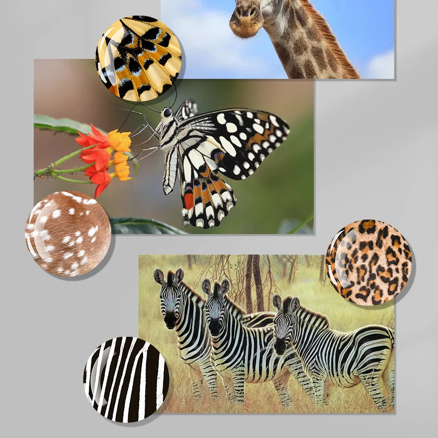 

50mm Circular Refrigerator Magnet Animal Skin Pattern Kitchen Decoration Magnet Learning Whiteboard Adsorption Magnet