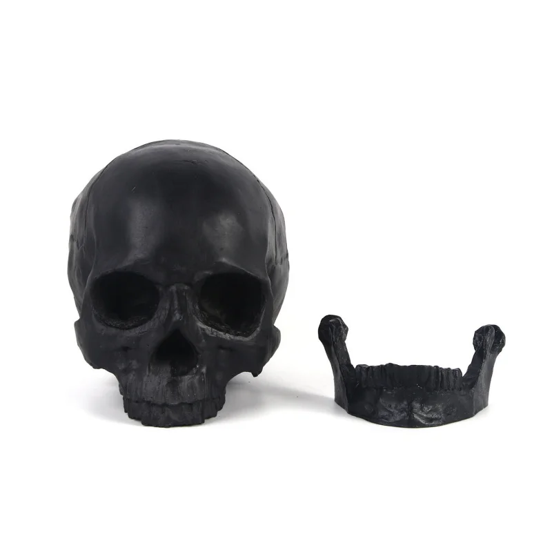 1:1 Human Model High-Precision Teaching Tool Resin Animal Skull Halloween Gift