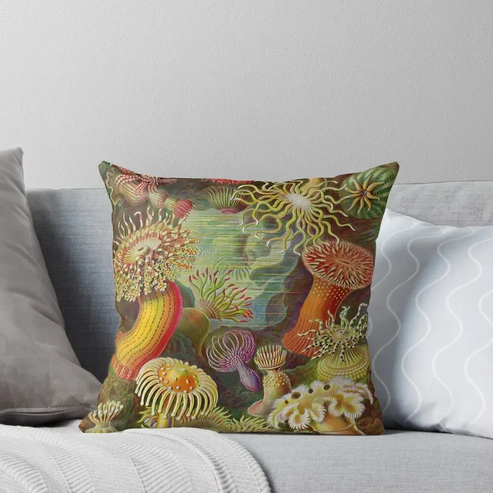 Sea anemone - Ernst Haeckel Throw Pillow luxury home accessories ornamental pillows for living room Sofa Cushions Covers Pillow