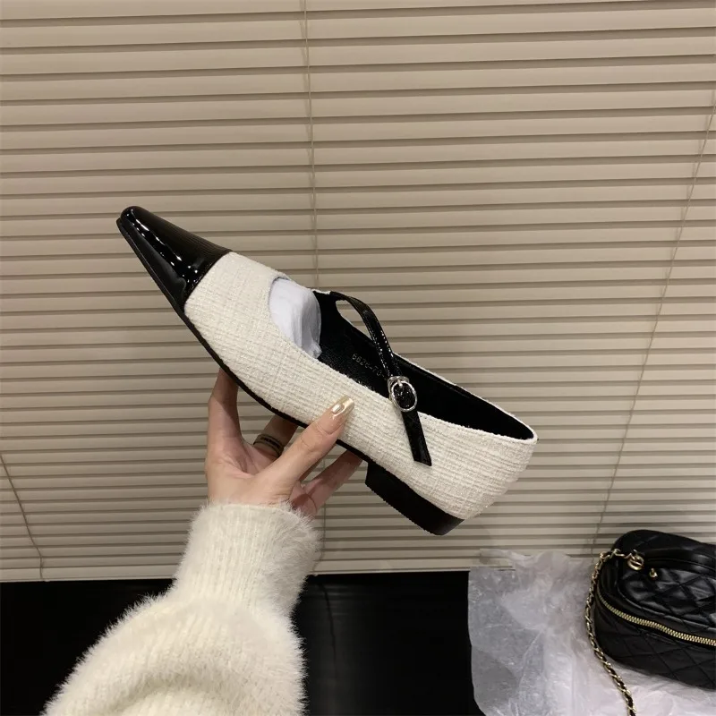 New Fashion Women's Retro Style Thick Heel Women Mary Jane Shoes Fashion Shallow Pointed Toe Ladies Comfort Office Pump Footwear