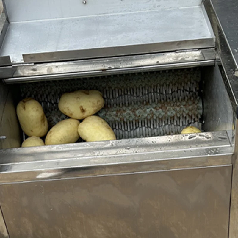 High Quality Efficiency Ginger Cleaning Processing Machine Small Cassava Potato  Peeler Peeling And Washing Machine