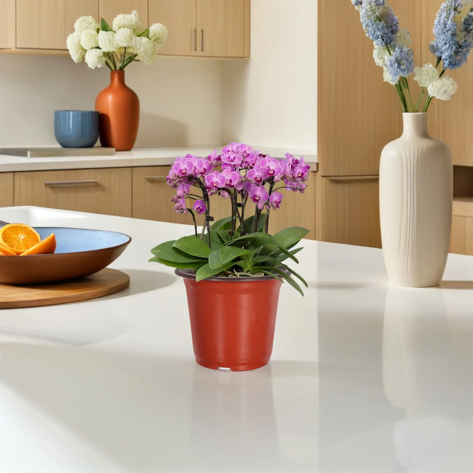 50 قطعة زهور بلاستيكية الحد الأدنى تنفس وعاء للنباتات الصبار العصارة سطح المكتب رف الكتب الجدول البستنة