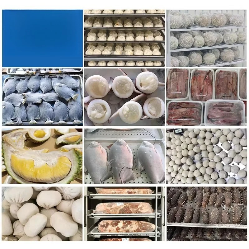 Commercial 130L Five-Tray Polyurethane Foam Insulated  Blast Freezer -45°C Ultra Low Temperature Shock Freezer for Frozen Food view 4