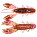 BROWN PINK