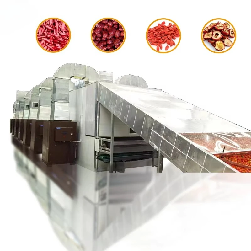 Industrial Fruit and Vegetable Processing Food Drying Machine for Carrot Mango Chips Dehydrating Wire Mesh Drying Machine