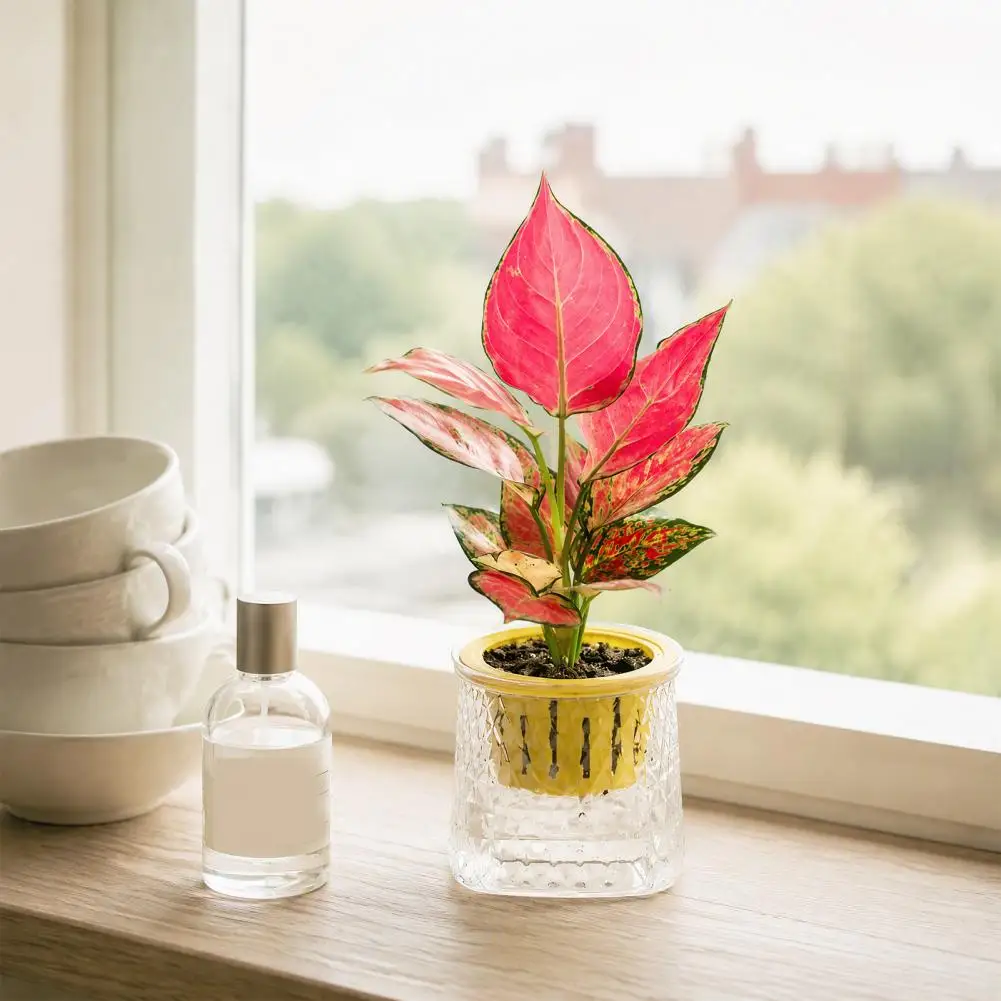 Self Watering Planter for Indoor Plants, Transparent Hydroponic Planter, Decorative Flowerpot with Rope for Home