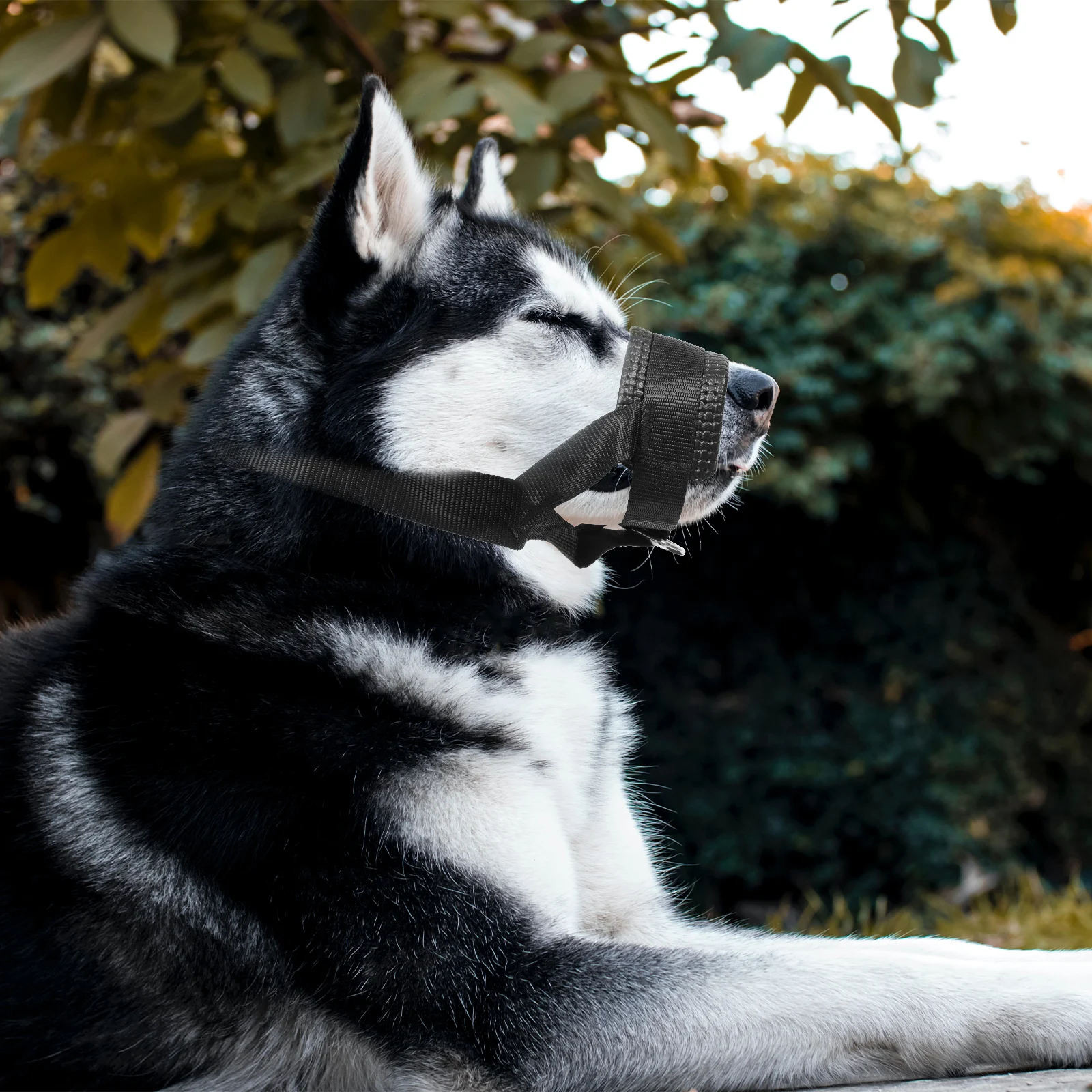 

Adjustable Dog Muzzle Pet Mask Small Nylon Mouth Cover for Dogs Prevent Biting Chewing Practical Pet Supplies Dog Collar Leash