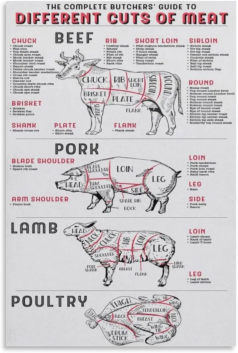 Affiche murale en métal, 18/panneaux, The InPorter Butchers Guide to Different Cuts of Meat, Bœuf, Porc, Agneau, Volaille, Maison, Cuisine, Ferme