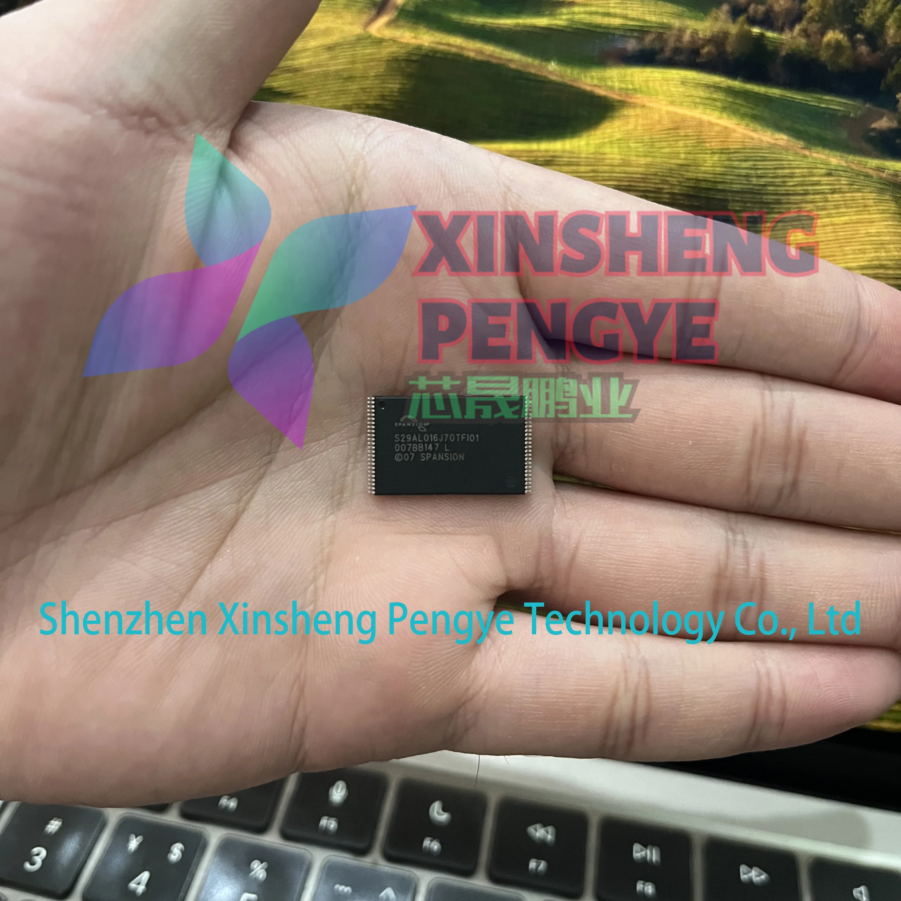 100% Baru dan Asli S29AL016J70TFI010 Penandaan S29AL016J70TFI01 Kemasan TSOP-48 16MB Parallel NOR Flash Memory IC Tersedia