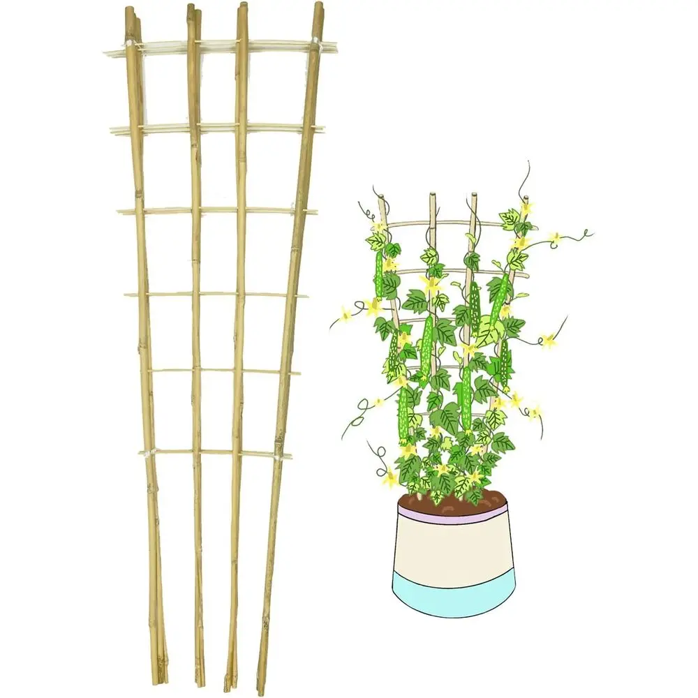 

Набор из 3-х веерообразных бамбуковых решеток высотой 4,8 фута для вьющихся растений, овощей и цветов в помещении и на открытом воздухе.
