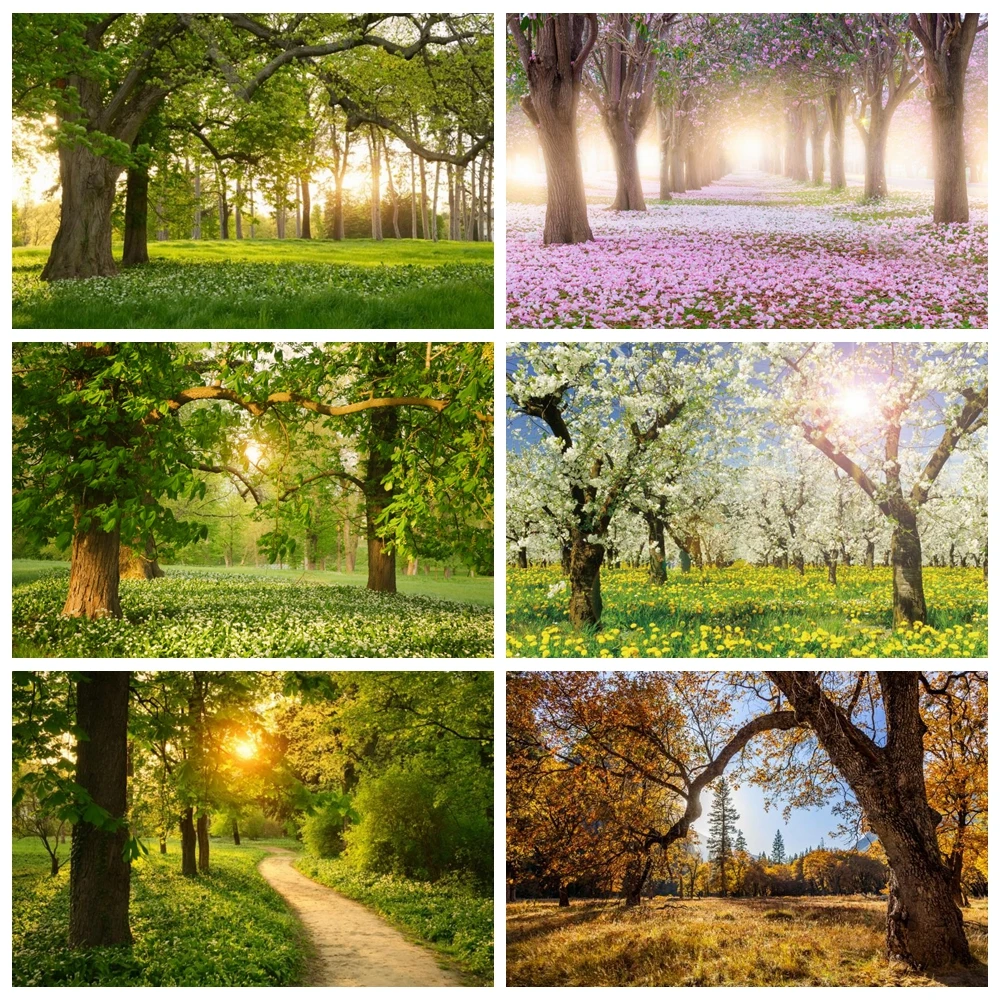 Telón de fondo de primavera, flores de bosque, árbol, sol, paisaje Natural, retrato de bebé, estudio fotográfico