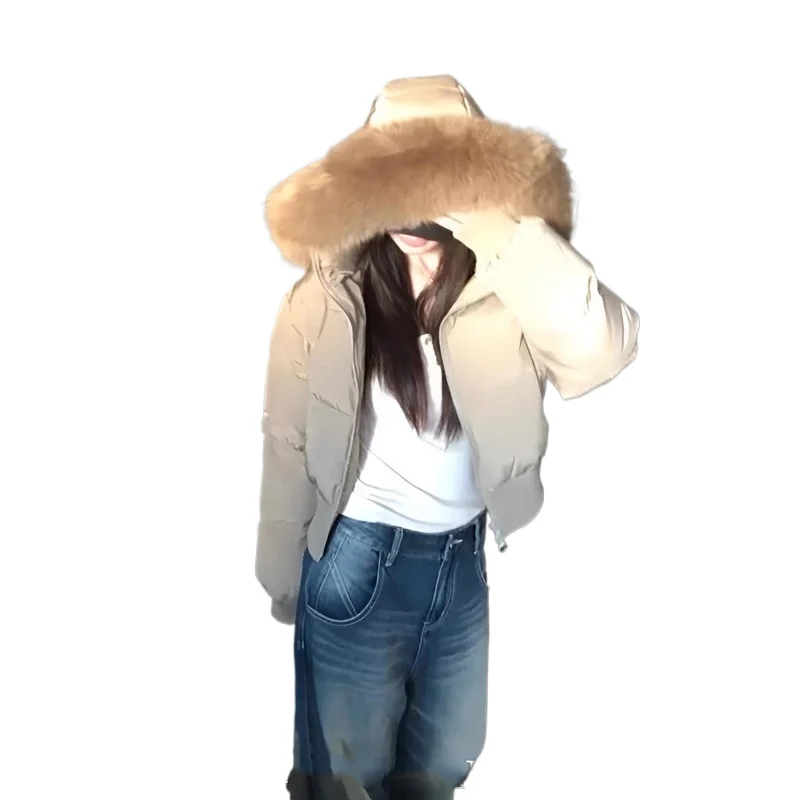 Women's Winter New High-end Thickened Warm Bread Coat Loose and Comfortable Retro Big Fur Collar Hooded Down Cotton Clothes