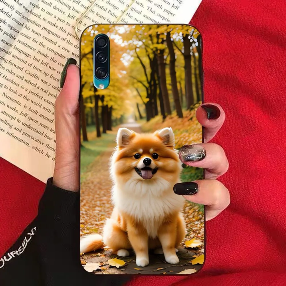 Pomeranian Dogs Phone Case For Samsung A 10 11 12 13 20 21 22 30 31 32 40 51 52 53 70 71 72 73 91 13 Shell