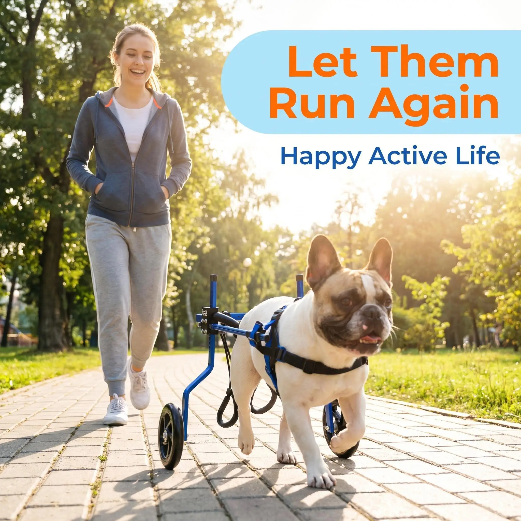 Best Reviewed Aviation Aluminium Alloy Adjustable Pet Dog Cat Walk Assistance  Walker For Pet Dog Back Legs