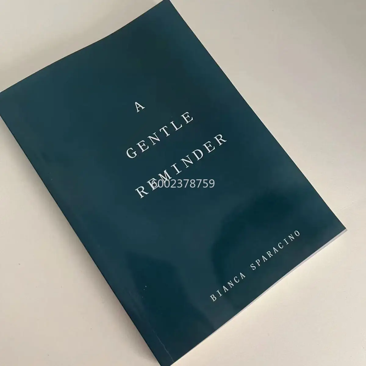 A Gentle Reminder English Paper Book in Stock