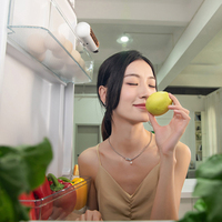 Fridge Deodorizer Mini Odor Absorber Eliminator USB-C Rechargeable Freezer Air Purifier for Fridge Wardrobe Shoes for Cabinet