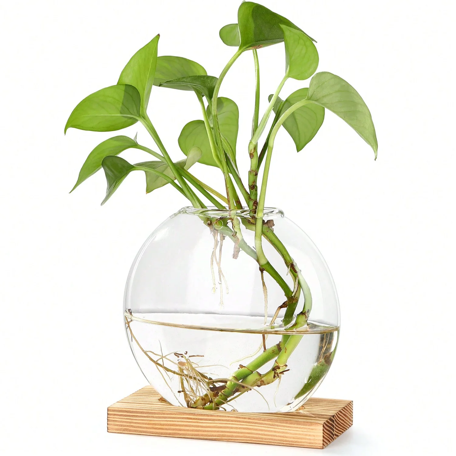 

2PCS Plant Terrarium Transparent Vase Desktop Propagation Stations Glass Planter For Indoor Live Hydroponics Plants