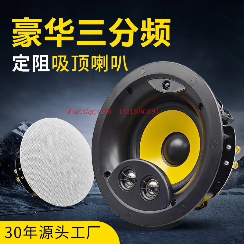 High-end Three-way Frequency Ceiling Speaker, Constant Resistance Ceiling Audio Accessories