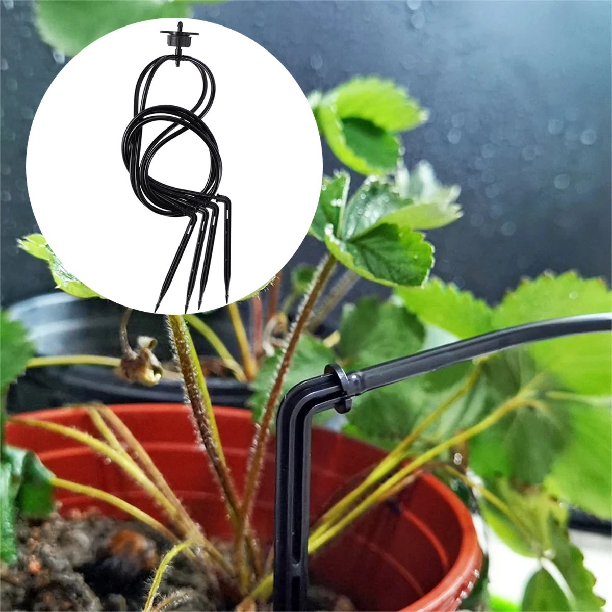 

20/50 sets 4L Irrigation Drippers Fittings 1-in-4-outs Arrow Dripper 4/7mm Hose Micro Drip Irrigation System Watering Saving Kit