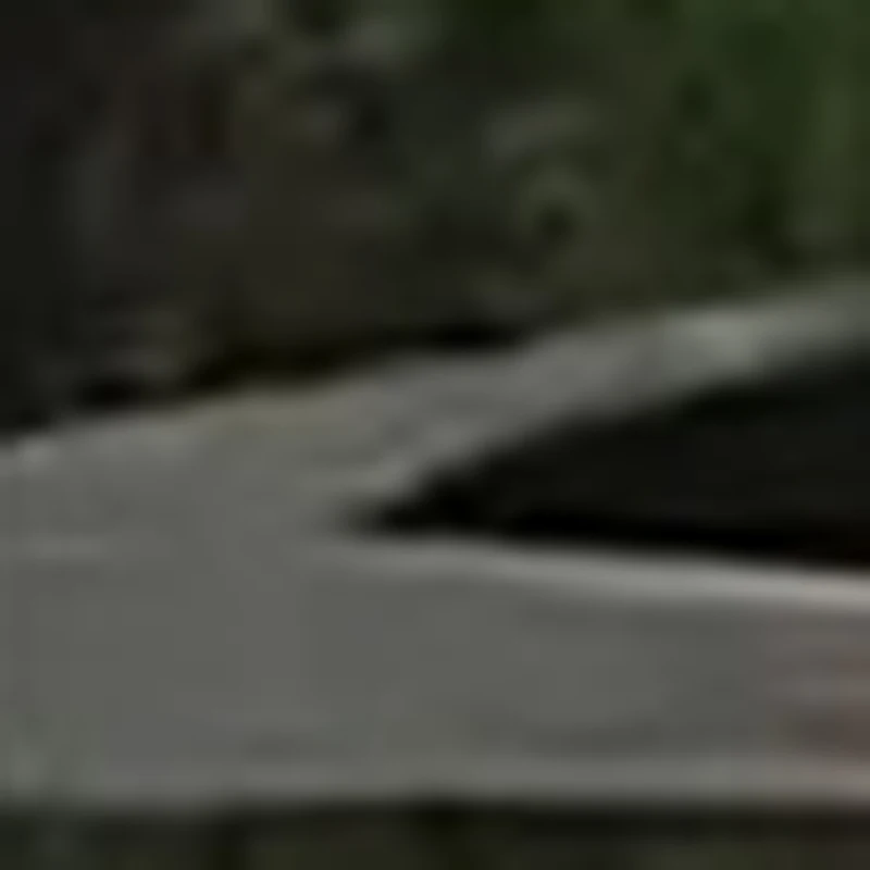 

100PCS Disposable Paper Mouth Bite Tube Pieces Blower Extra Accessory for Lung Peak Flow Meter Pulmonary Detector Spirometer A2