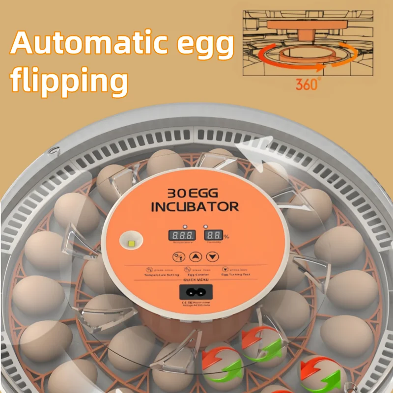 Incubadora de Ovos STLF30 para - Quail Egg Incubator avaliação e preço