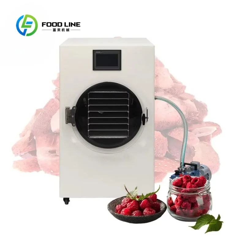 Customized 20kg/Batch Industrial Freeze Dryer Vacuum Lyophilizer 18kg/24h Ice Condenser Capacity Drying Machine for Pet Food