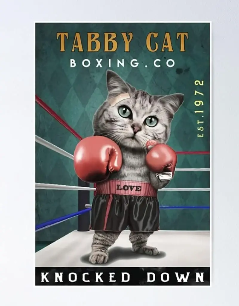 TABBT CAT Boxing Retro Metal Tin Sign: 8x12인치 빈티지 알루미늄 벽장식으로 집 분위기 완성하기