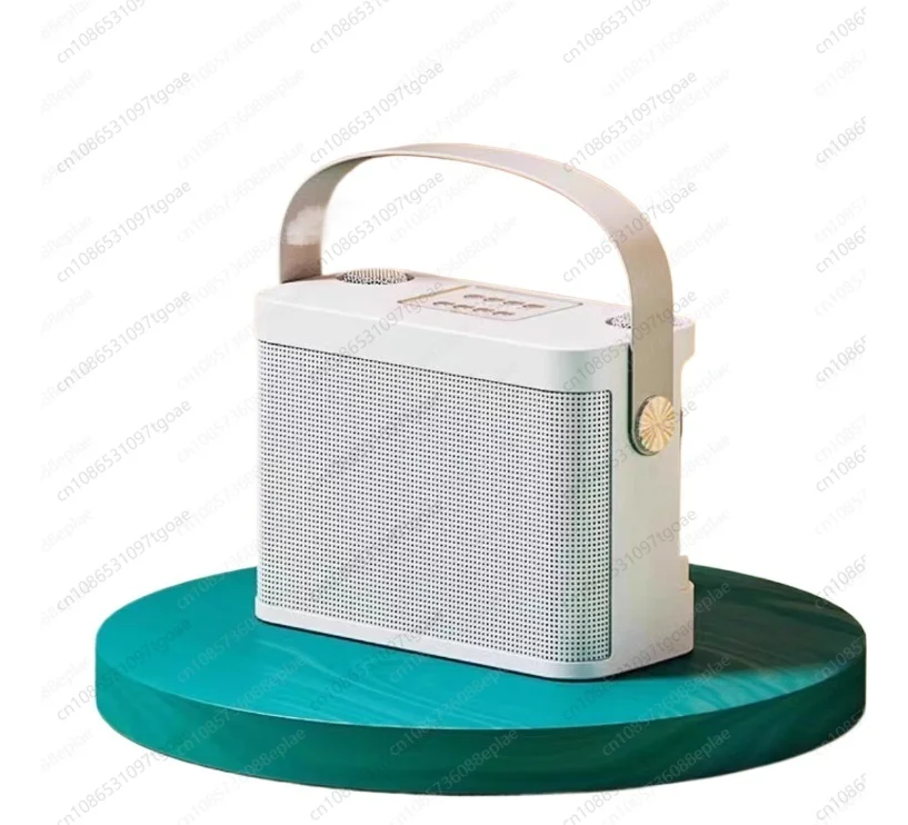Y YS-219 Home TV KTV Wireless Bluetooth Speaker Wireless Microphone Microphone Integrated  Small