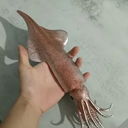 1Pcs PVC Simulation Big Squid Artificial Seafood Model Fake Food Seafood Shop Restaurant Props Ornament Wedding Party Dish Decor