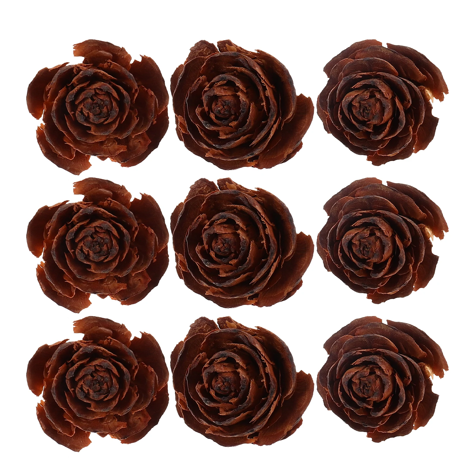 10 pezzi di fiori secchi campioni di fiori secchi naturali materiale per artigianato fai da te in resina arte fatta a mano decorazioni per piante campioni di materiali per la lavorazione