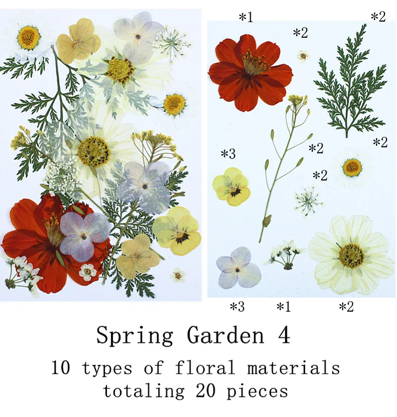 Natural Real Flower Pressed Fl - Pressed Flower Frame ulasan dan harga