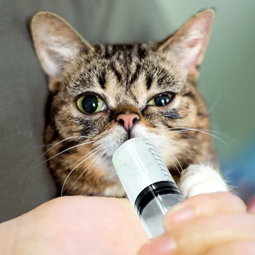 Thumbnail 4 - #48 Latest Pet Feeders Offers