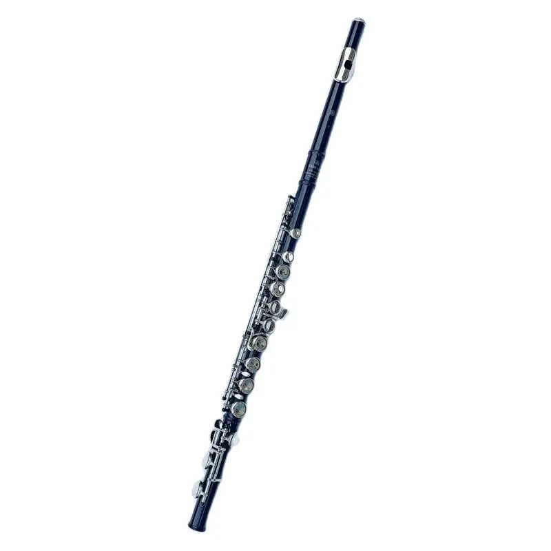 

Black 16 Holes Flute Woodwind Instrument Closed Key Add the E Key C Tone Nickel Plated Concert Flute With Music Case