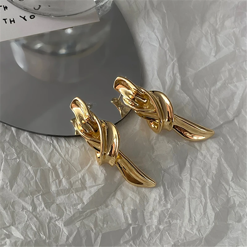 European and American knotted metal earrings for women 2022 fashion light luxury design temperament earrings