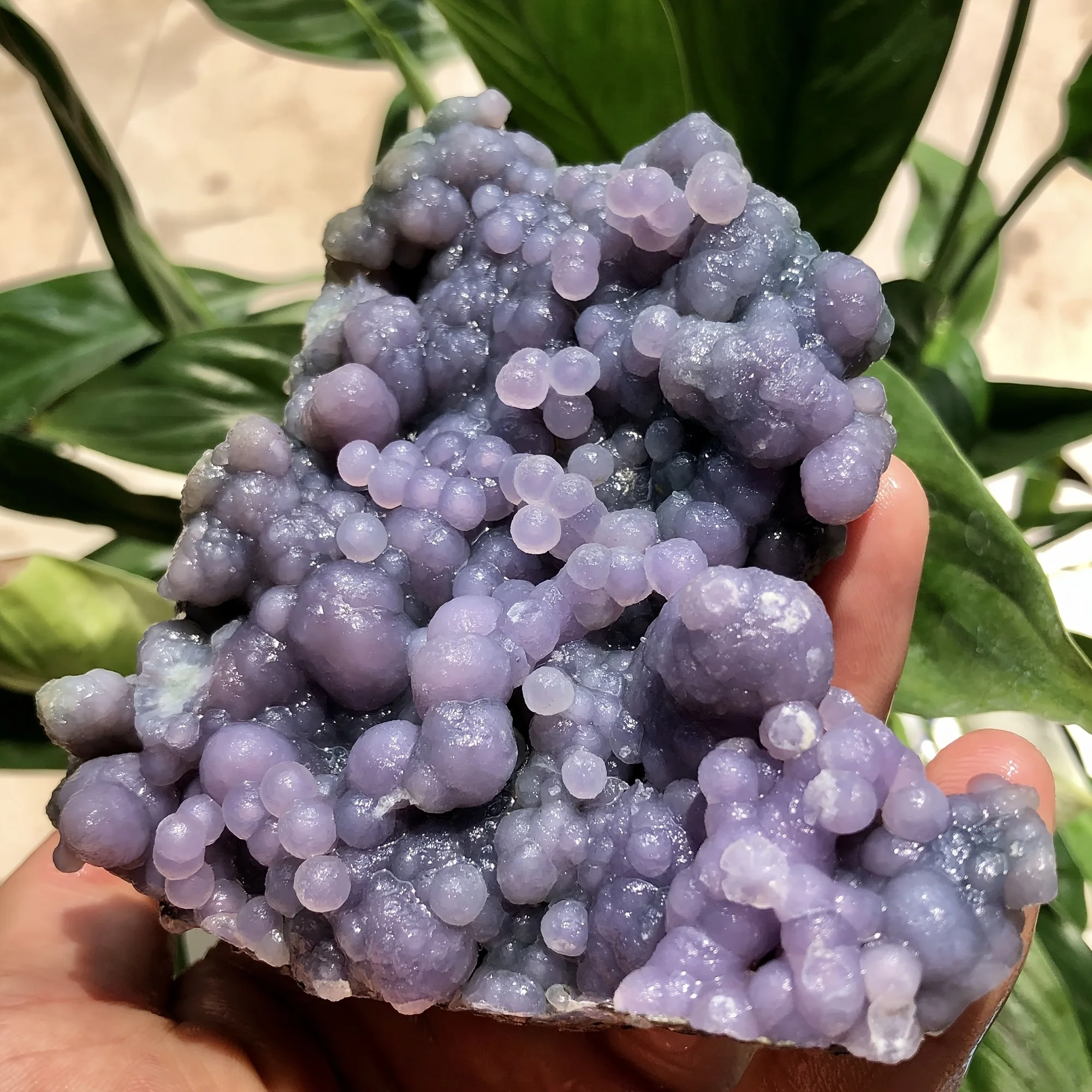 1pc Random Exceptionally Rare Grape Agate Cluster, Featuring A Raw Purple Cluster Of Grape Agate And Purple Chalcedony