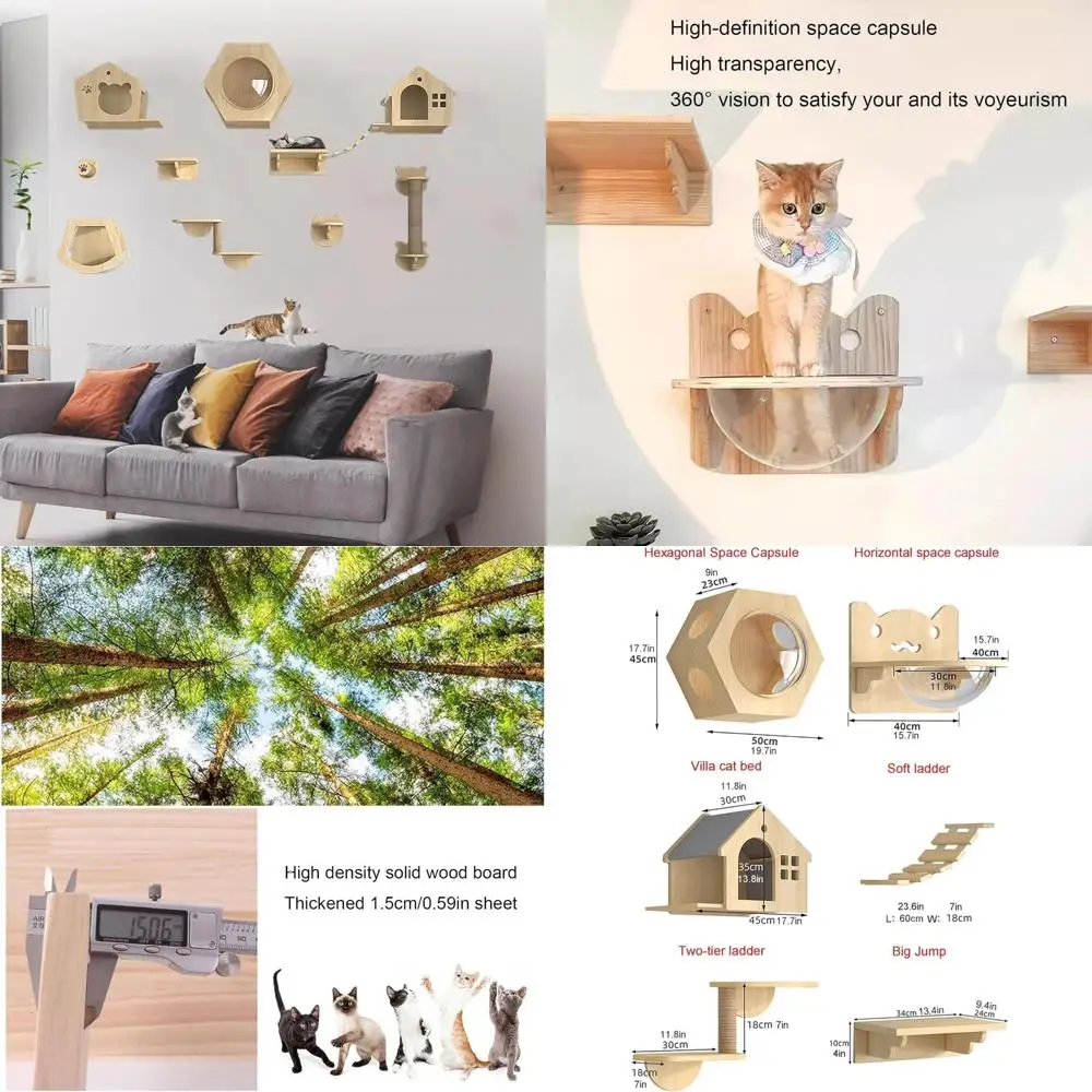 

Деревянные настенные полки для кошек в помещении — набор из 12 предметов для кошек и котят