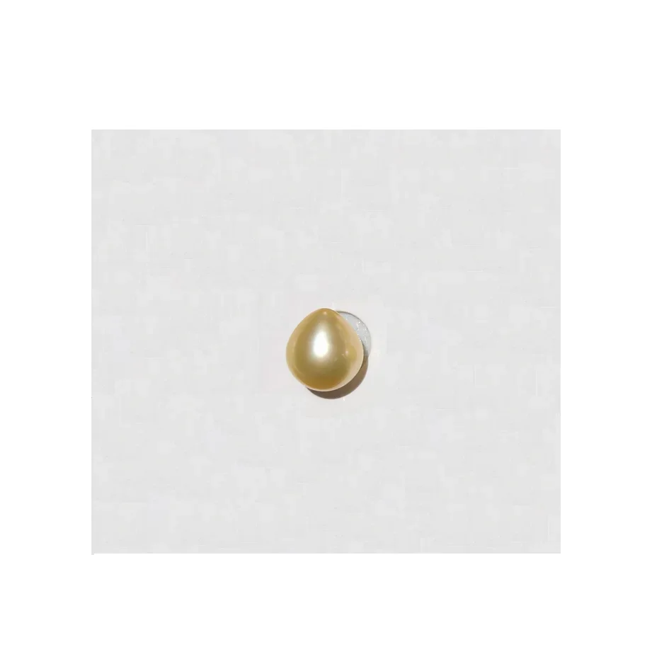 

Genuine Sea Cultured Gold Pearl 9.5x11mm / Loose Pearl / Undrilled