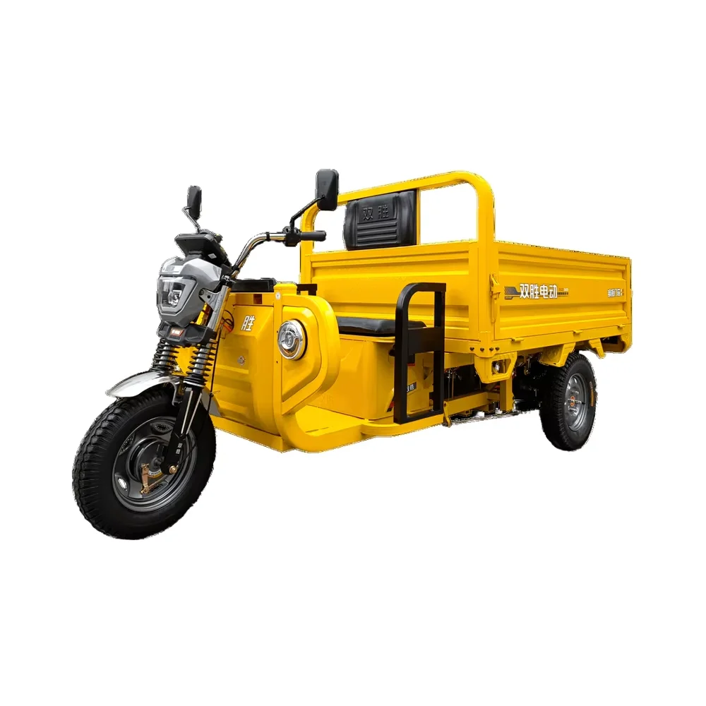 Electric Cargo Tricycle 3-Wheeler Passenger Vehicle With 2000W Power Open Body Type