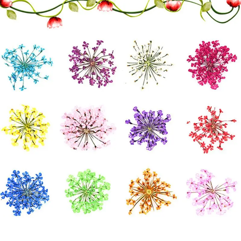 24 Pieces Real Dried Pressed Flowers Epoxy Resin Mold Fill Accessories for Resin Casting Resin Jewelry Making Projects