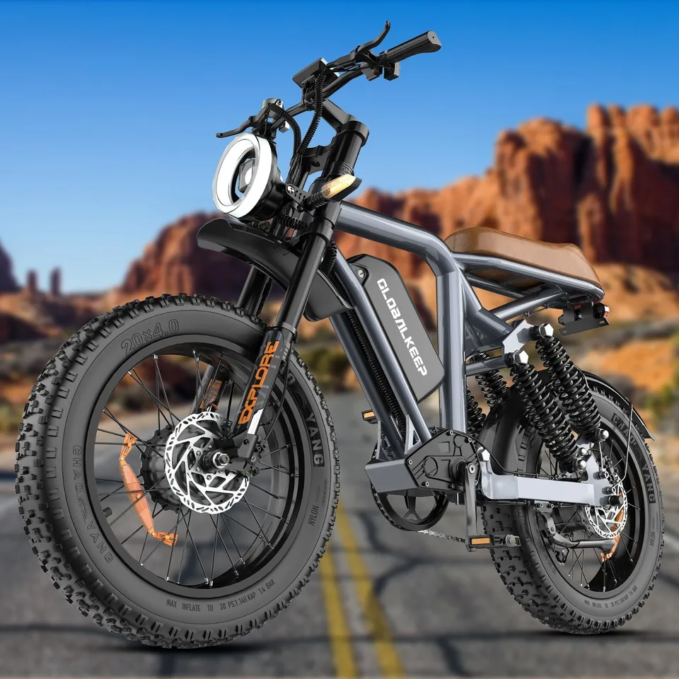 1500W Peak Mountain bike 20" Fat Tire Dual Motor ebike 48V 15.6AH Adults E-bike
